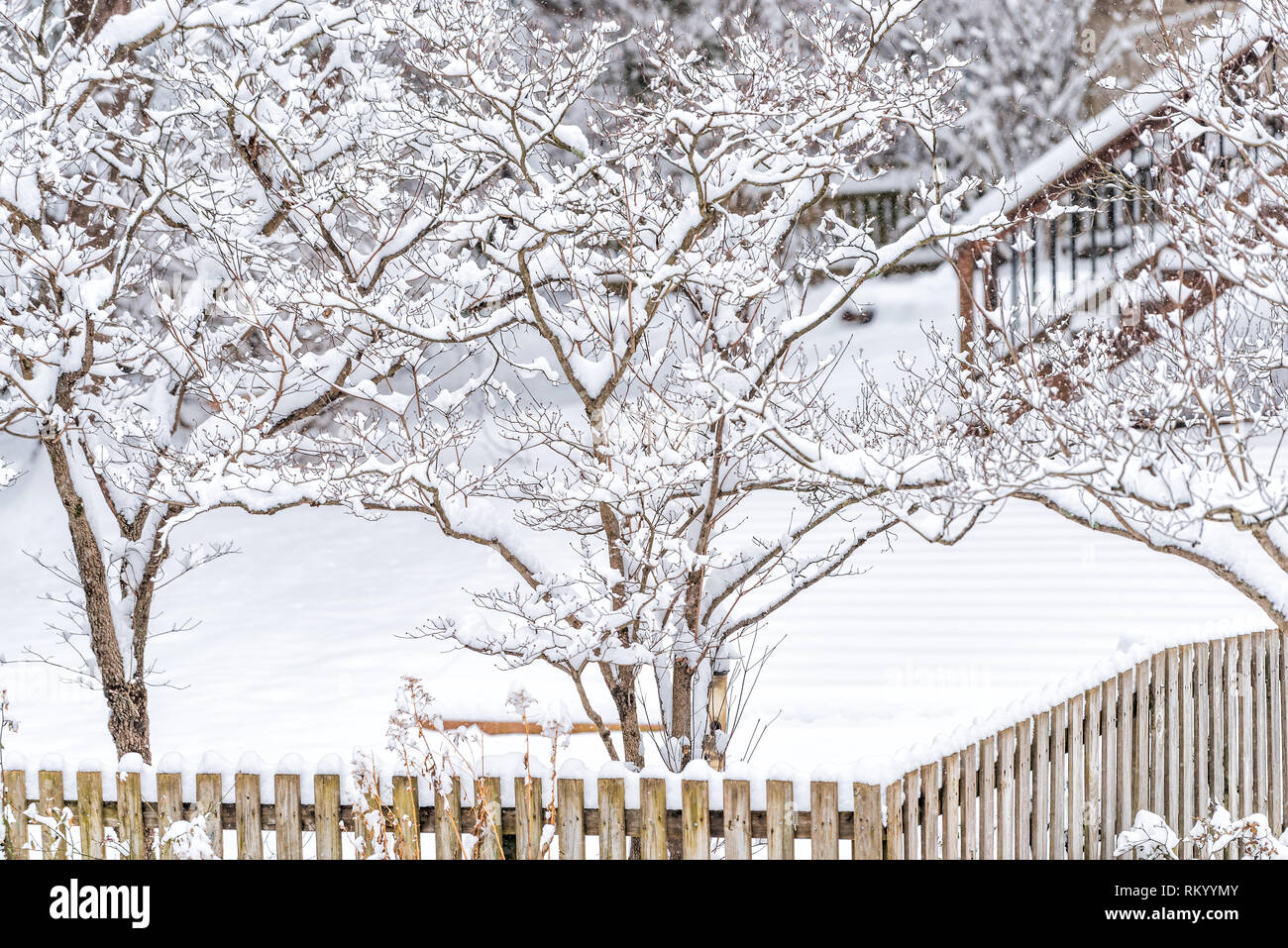 Clôture en bois par house home avec pelouse couverte de neige blanc et branches d'arbres dans la cour par house home avec personne et escaliers de pont Banque D'Images
