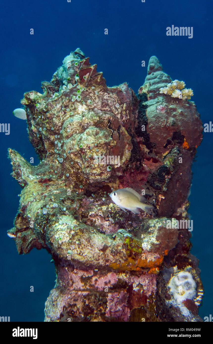 Underwater statue, Jemeluk Bay Gallery site de plongée, Amed, à l'Est de Bali, l'Indonésie, de l'Océan Indien Banque D'Images