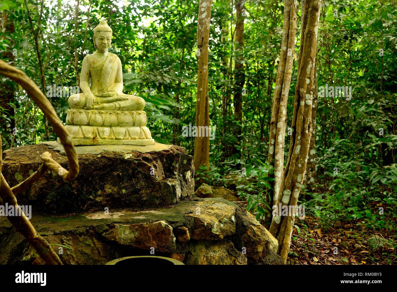 Petit Bouddha, dans le Parc National de Kep, le Cambodge Banque D'Images