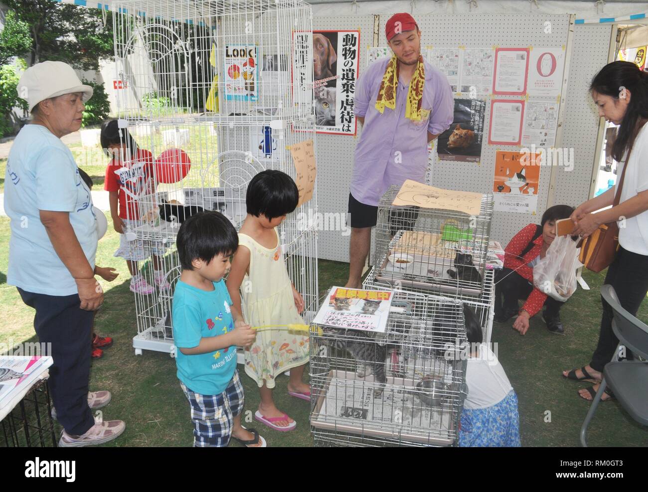 Naha, Okinawa, Japon : Stray Cats adoption cas Banque D'Images