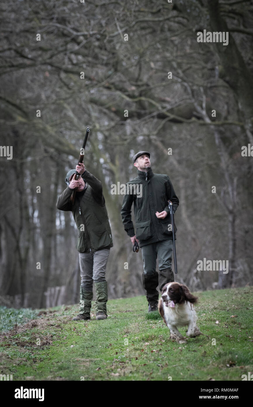 Jeu traditionnel anglais dans la campagne d'automne de tir des armes à feu avec les chiens. Banque D'Images