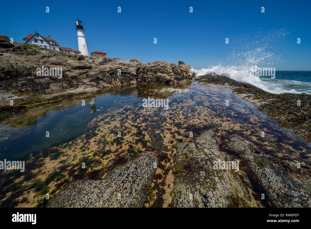 Le Portland Head Lighthouse surplombe un bassin de marée le long de la côte Atlantique du Nord-Est des USA. Banque D'Images