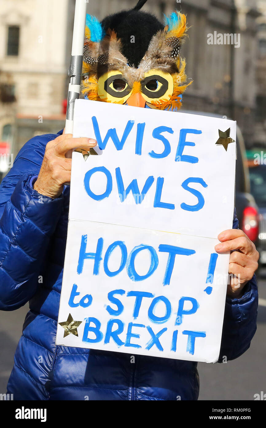 Anti-Brexit manifestant vu avec une pancarte et masque chouette lors d'un Brexit manifestation devant les Chambres du Parlement à Londres. Banque D'Images