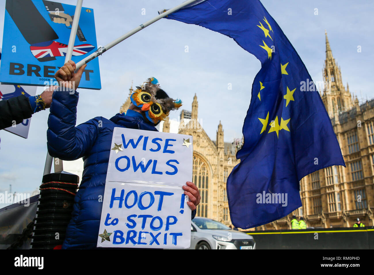 Anti-Brexit manifestant vu avec une pancarte et masque chouette lors d'un Brexit manifestation devant les Chambres du Parlement à Londres. Banque D'Images