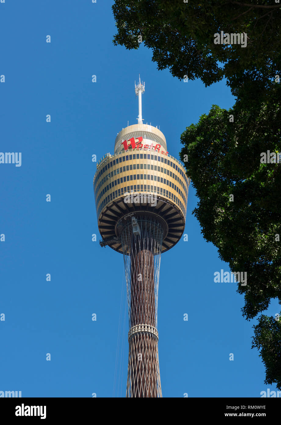 La tour de Sydney contre un ciel bleu. Banque D'Images