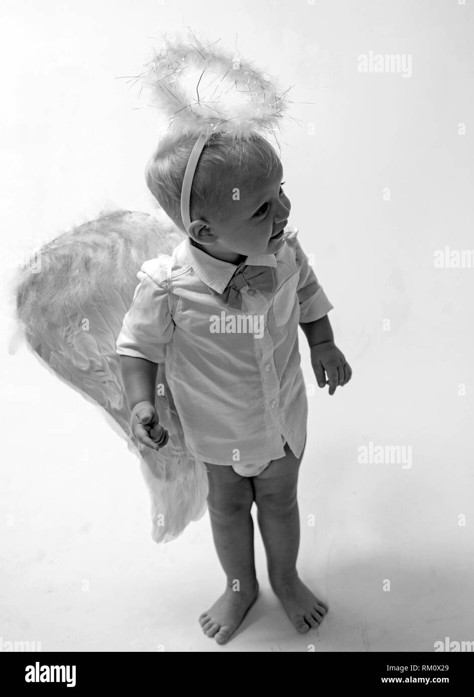 Pret Pour Les Vacances Adorable Petit Ange Garcon Petit Garcon Aux Ailes D Ange Et De Halo Bebe Ange Valentines Mignon Cherubin Cupidon Ou Bebe Ange De Noel Photo Stock Alamy
