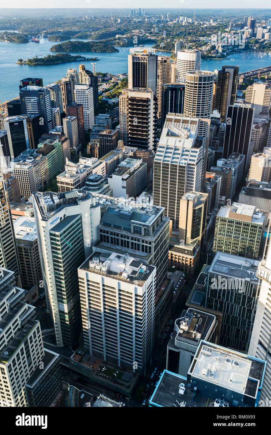 Une vue aérienne de Sydney. Banque D'Images