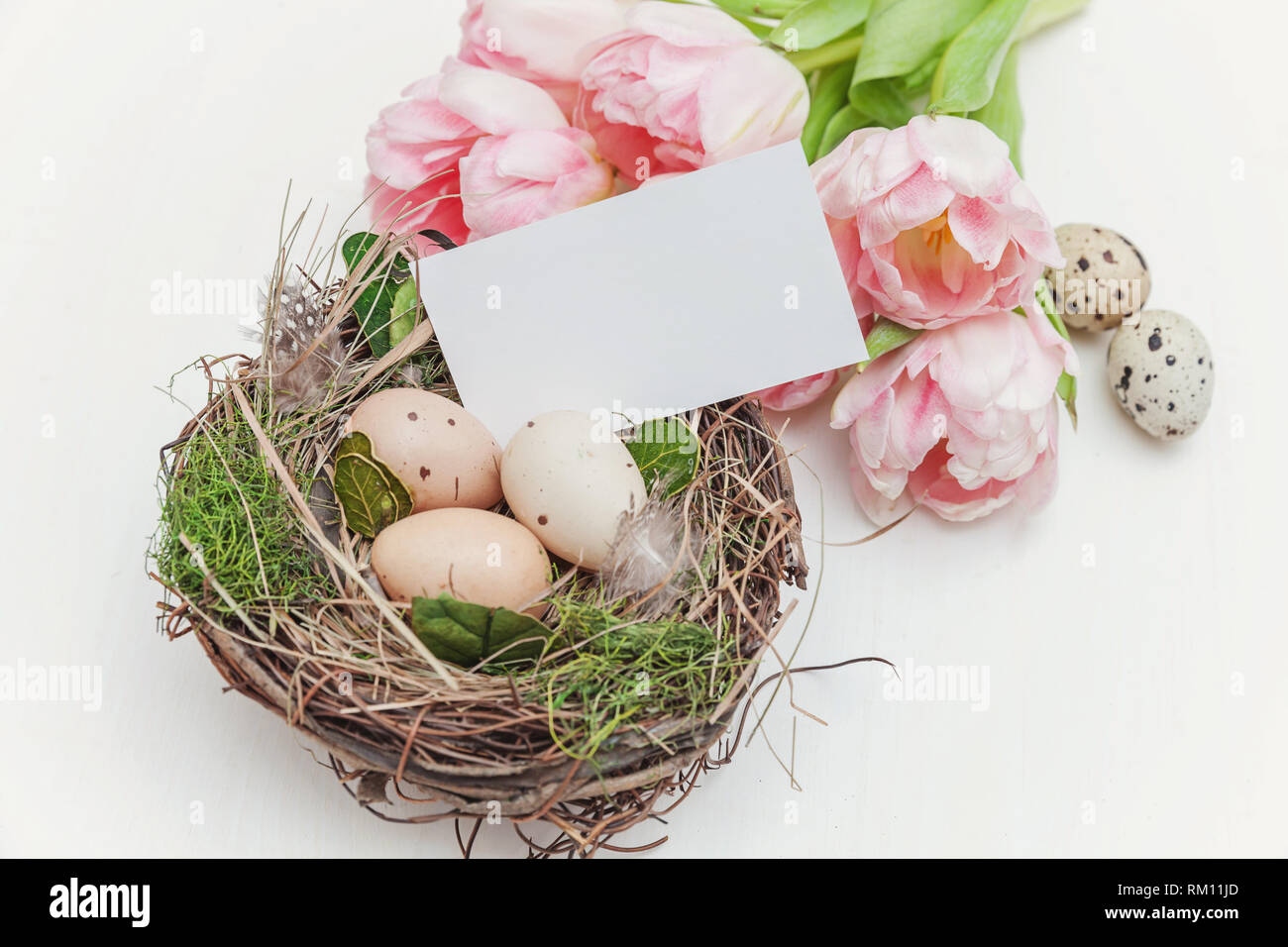 Maquette de carte de vœux de printemps. Tulipe rose fleurs bouquet, œufs de Pâques dans le nid et carte sur un fond de bois. Post blog médias sociaux,voir Banque D'Images