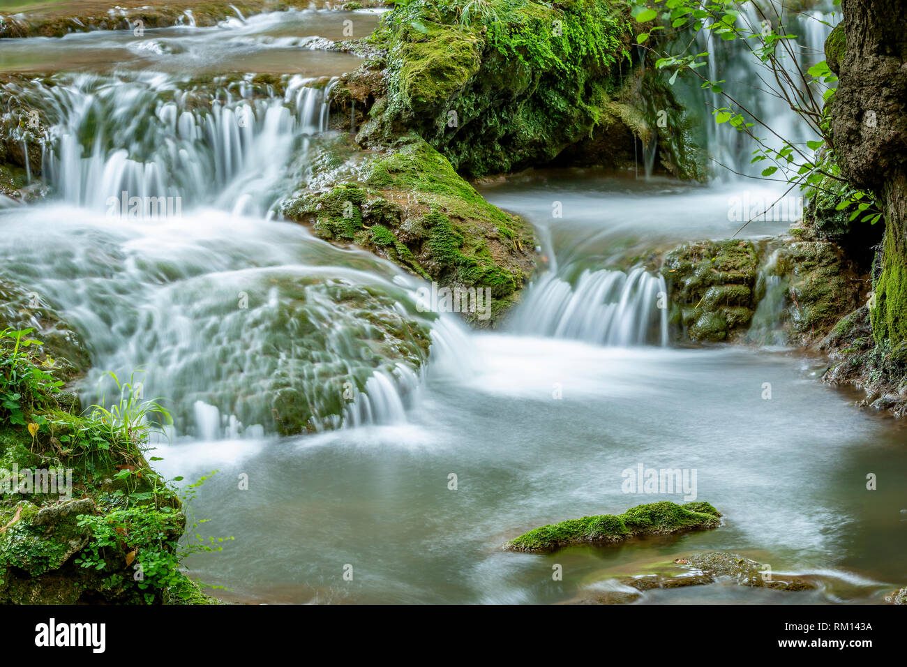 Rivière avec de petites cascades s'écoulant dans la forêt verte des temps d'exposition Banque D'Images