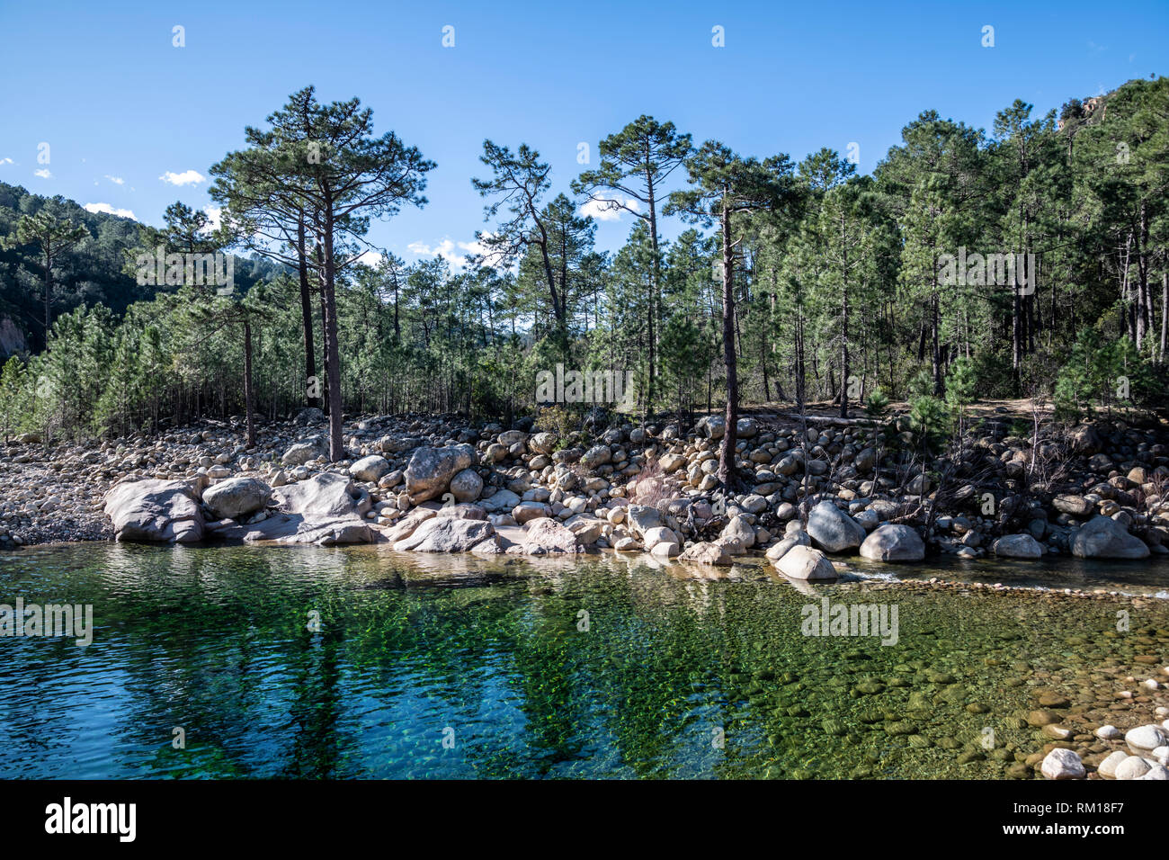 Pur et frais de la rivière de l'eau et piscine naturelle dans la forêt de Corse, France, Europe (Rivière Solenzara) Banque D'Images