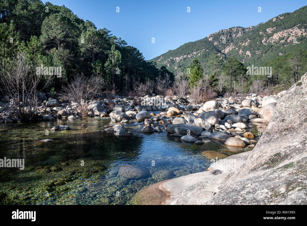 Pur et frais de la rivière de l'eau et piscine naturelle en Corse, France, Europe (Rivière Solenzara) Banque D'Images