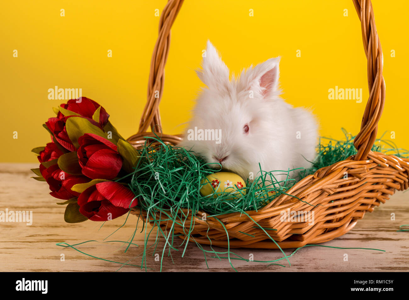 Peu de bunny dans panier avec les œufs décorés et des tulipes - Pâques - Image Banque D'Images