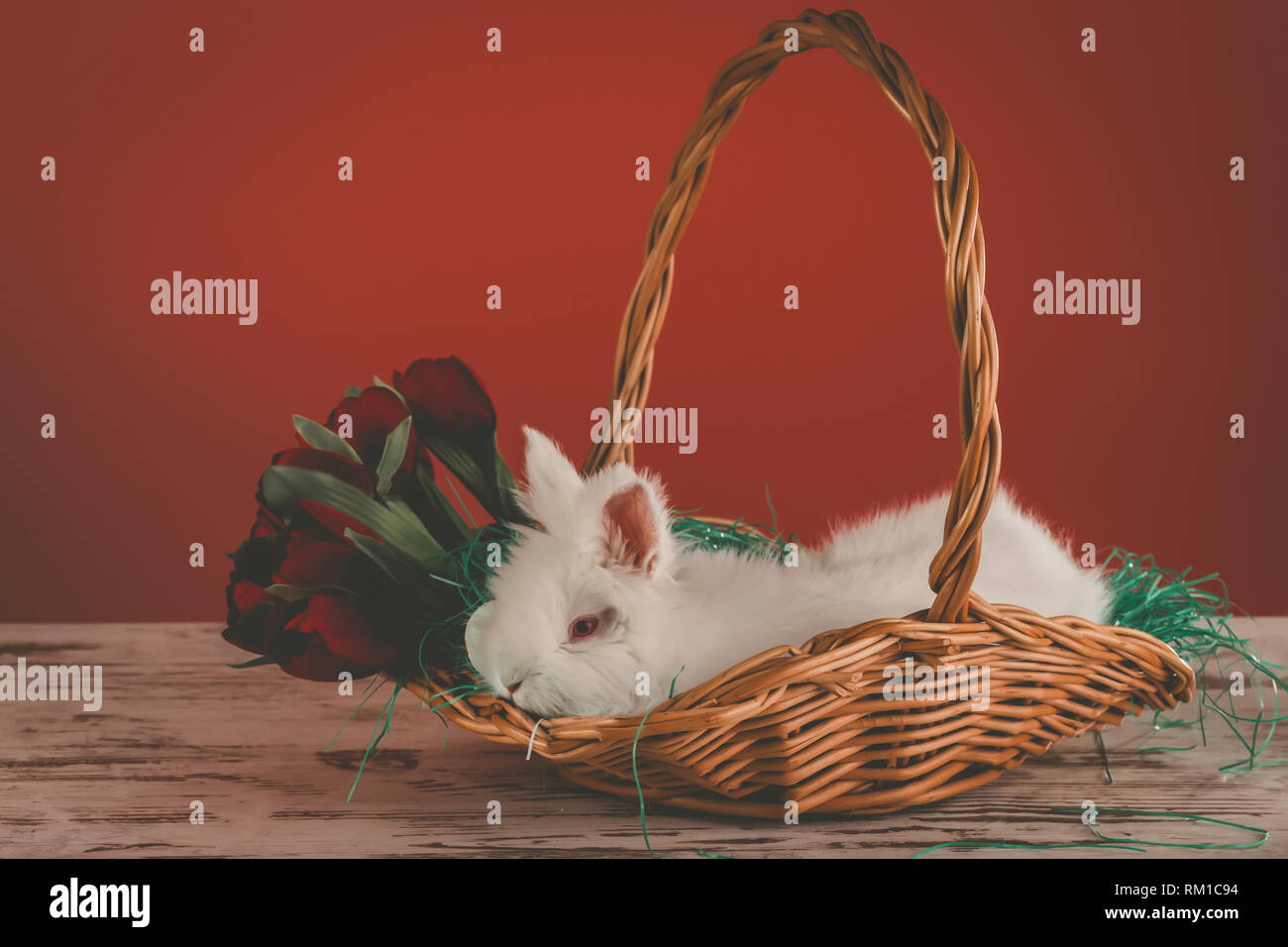 Peu de bunny dans panier avec des tulipes - Pâques - Image Banque D'Images