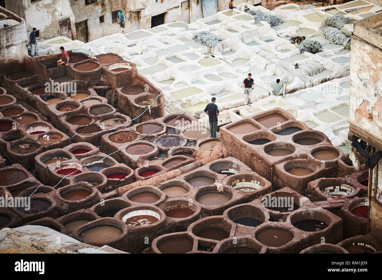 Les hommes dans la tannerie Chouara dye et traiter les peaux de cuir pour la fabrication de produits en cuir, fes al Bali dans la médina de Fès, Maroc. Banque D'Images