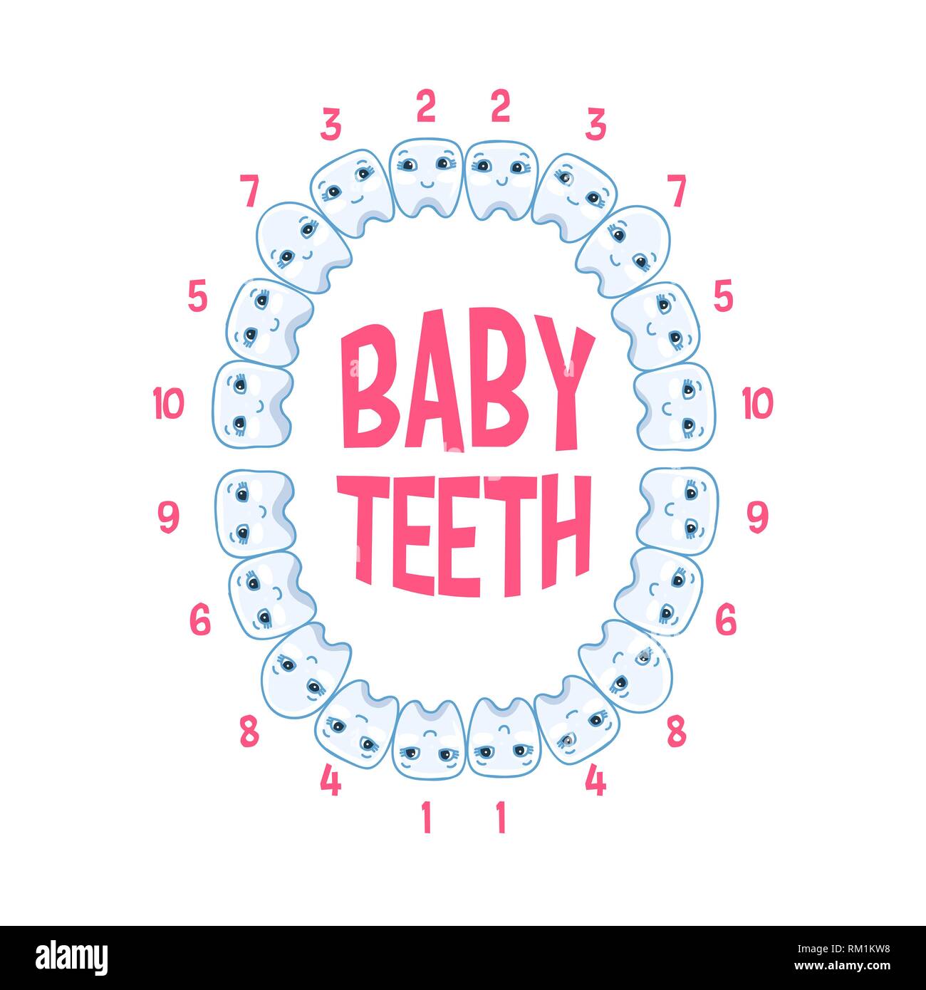 Les dents de bébé chez un enfant, les dents des infographies. Illustration vecteur de la dentisterie pédiatrique Illustration de Vecteur