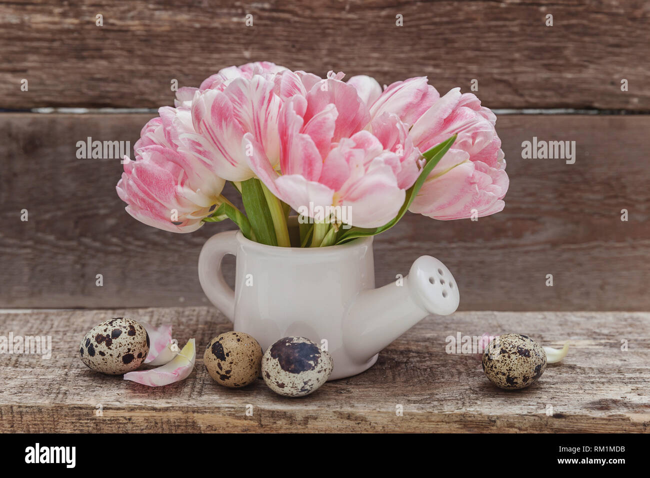 Carte de vœux de printemps. Oeufs de Pâques fleurs bouquet de tulipes fraîches rose petit jouet arrosoir vase sur fond de bois minable rustique. Concept de Pâques. Cop Banque D'Images