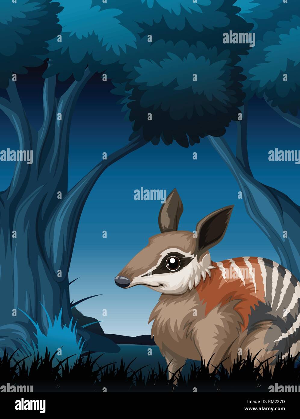 Un bandicoot dans forêt sombre illustration Illustration de Vecteur