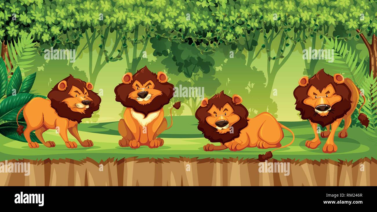 Un groupe de lion dans la jungle illustration Illustration de Vecteur