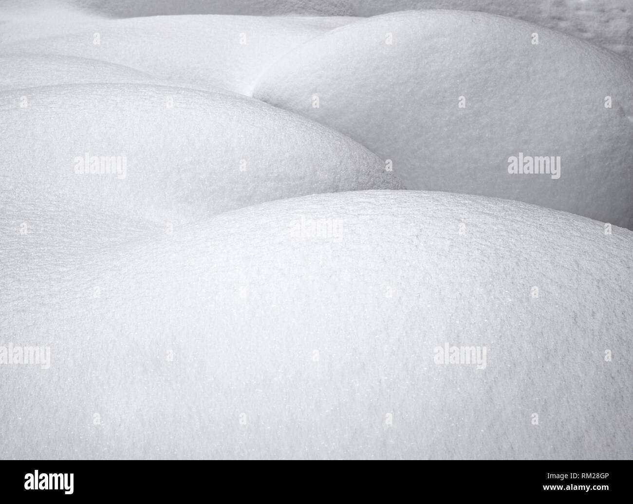 WY03659-00,,,WYOMING - neige dans le Parc National de Yellowstone. Banque D'Images