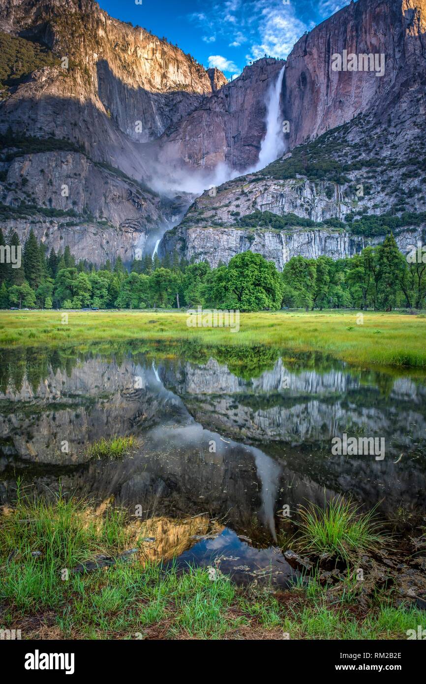 Reflet de Meadow cuisiniers Chutes Yosemite. Banque D'Images