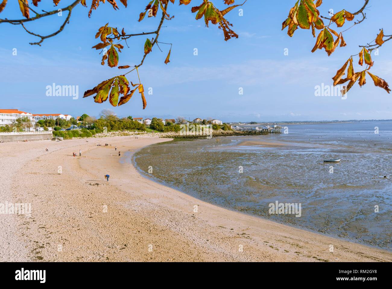 La plage du sud de l'anse de la Coue à marée basse à Fouras,  Charente-Maritime, Nouvelle-Aquitaine Région, France, Europe Photo Stock -  Alamy
