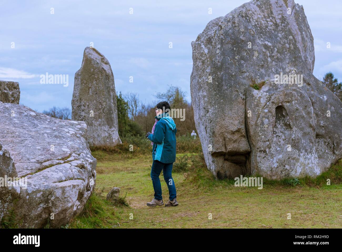L'alignement de Kermario, site mégalithique de Carnac, Morbihan, Bretagne, France, Europe Banque D'Images