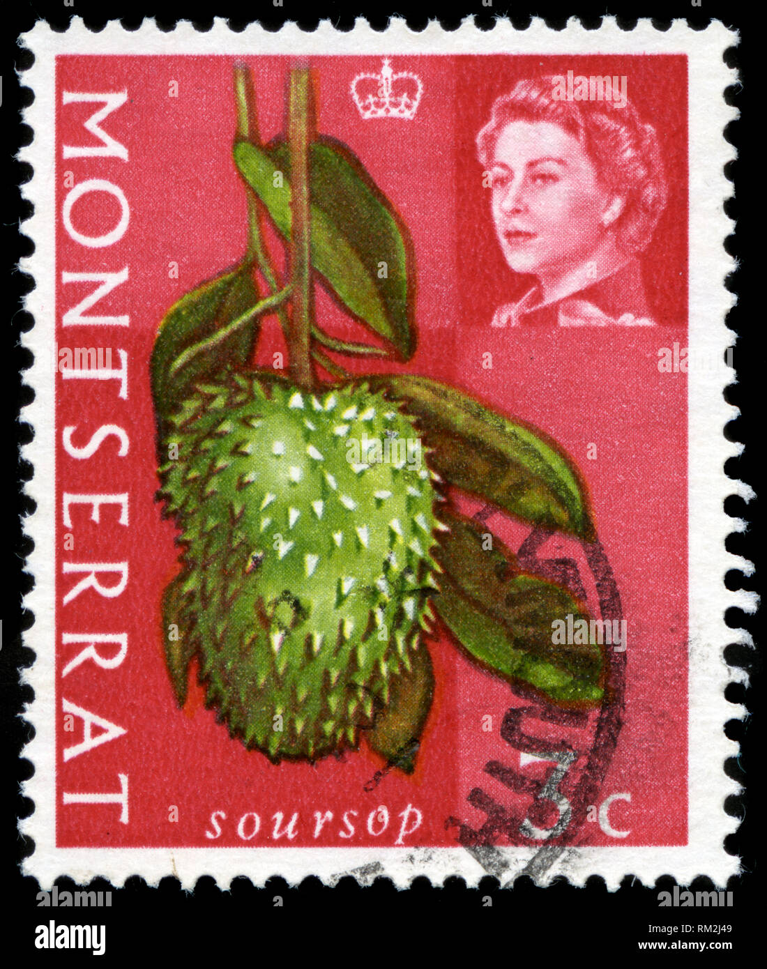 Timbre-poste de Montserrat, dans la série des produits de l'Agriculture a publié en 1965 Banque D'Images