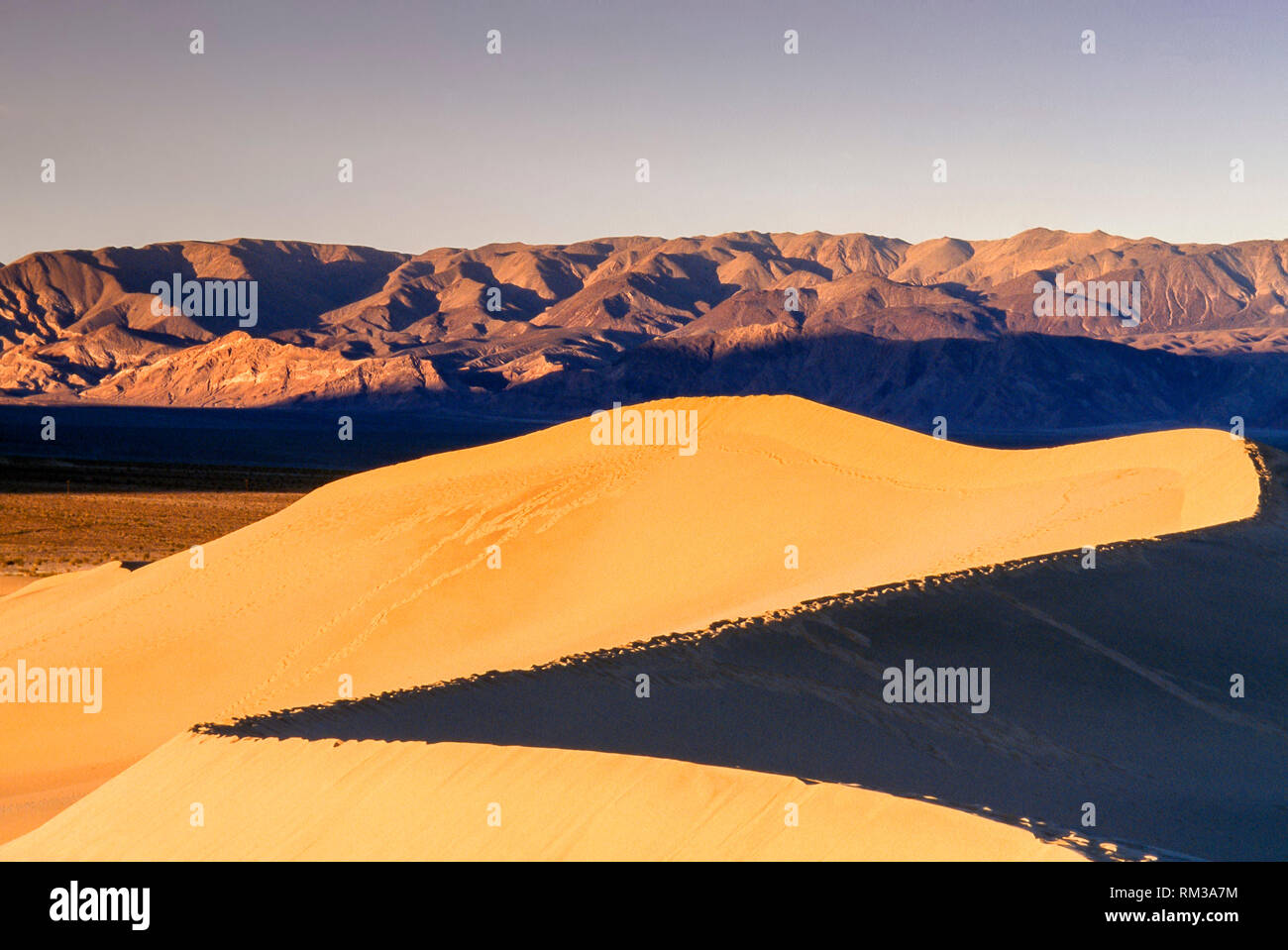 Les dunes de sable de la vallée de la mort au lever du soleil, Californie, USA Banque D'Images