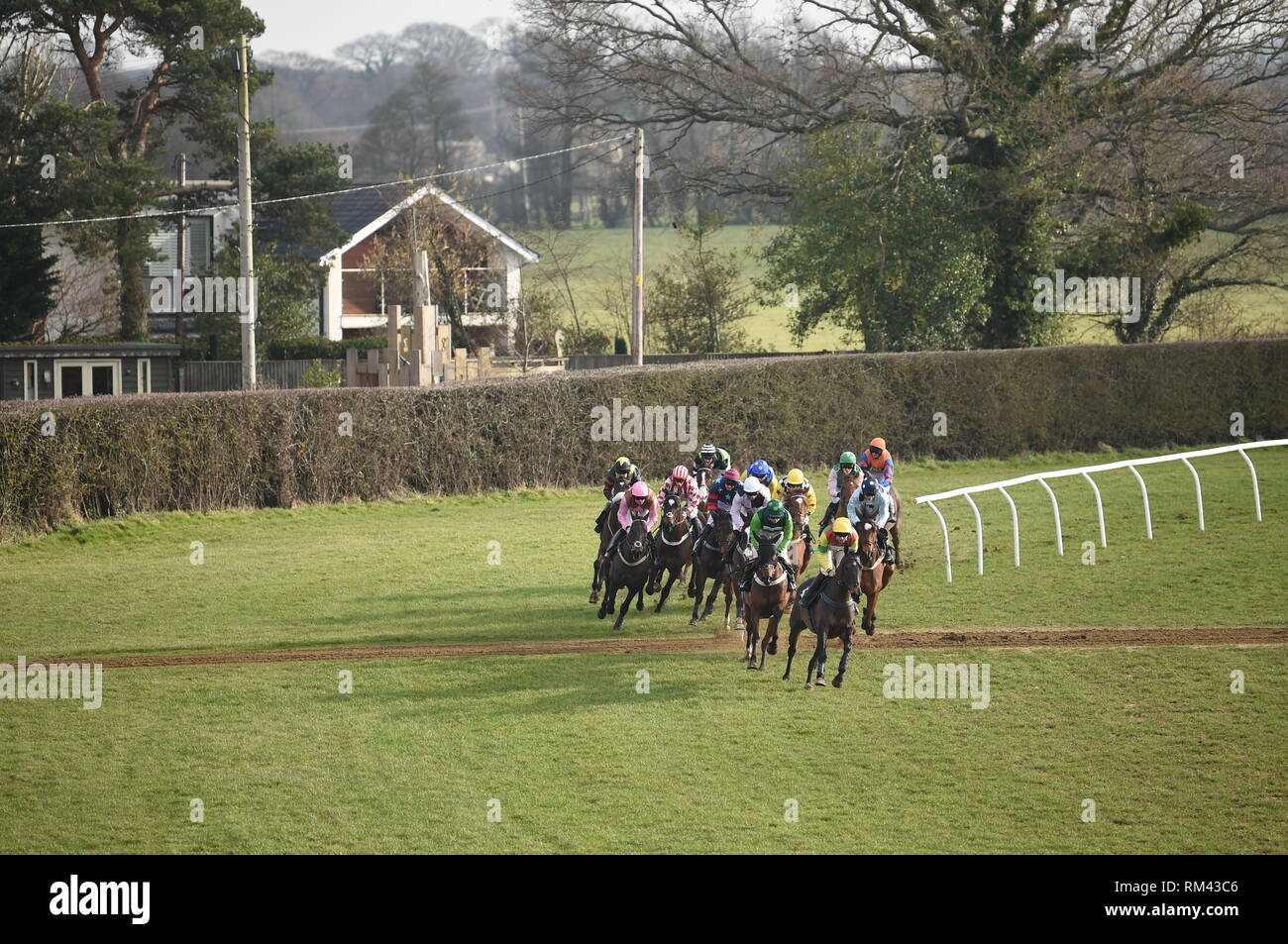 Horse Happy Birthday Banque D Image Et Photos Alamy Horse Happy Birthday Banque D Image Et Photos Alamy