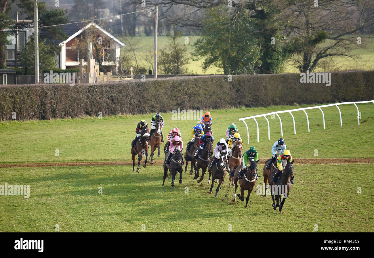 Brighton, UK. Feb 13, 2019. Course en cours de nouveau à Hippodrome de Plumpton à Sussex après la récente suspension des courses de chevaux en Grande-Bretagne en raison d'une épidémie de grippe équine . La première course de la journée est le bon anniversaire Kim Shaw Novices' Hurdle (Class 4) qui a finalement été remporté par Acey Milan Crédit : Simon Dack/Alamy Live News Banque D'Images