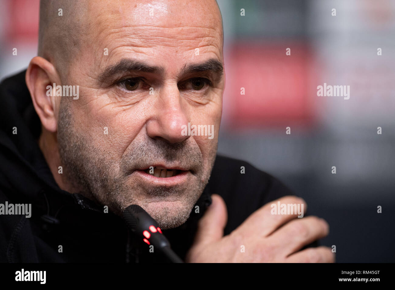 13 février 2019, la Russie, Krasnodar : Peter Bosz, entraîneur du Bayer 04 Leverkusen, prend la parole lors d'une conférence de presse dans le stade. Leverkusen jouera FK Krasnodar demain dans le cycle intermédiaire de l'Europa League. Photo : Marius Becker/dpa Banque D'Images