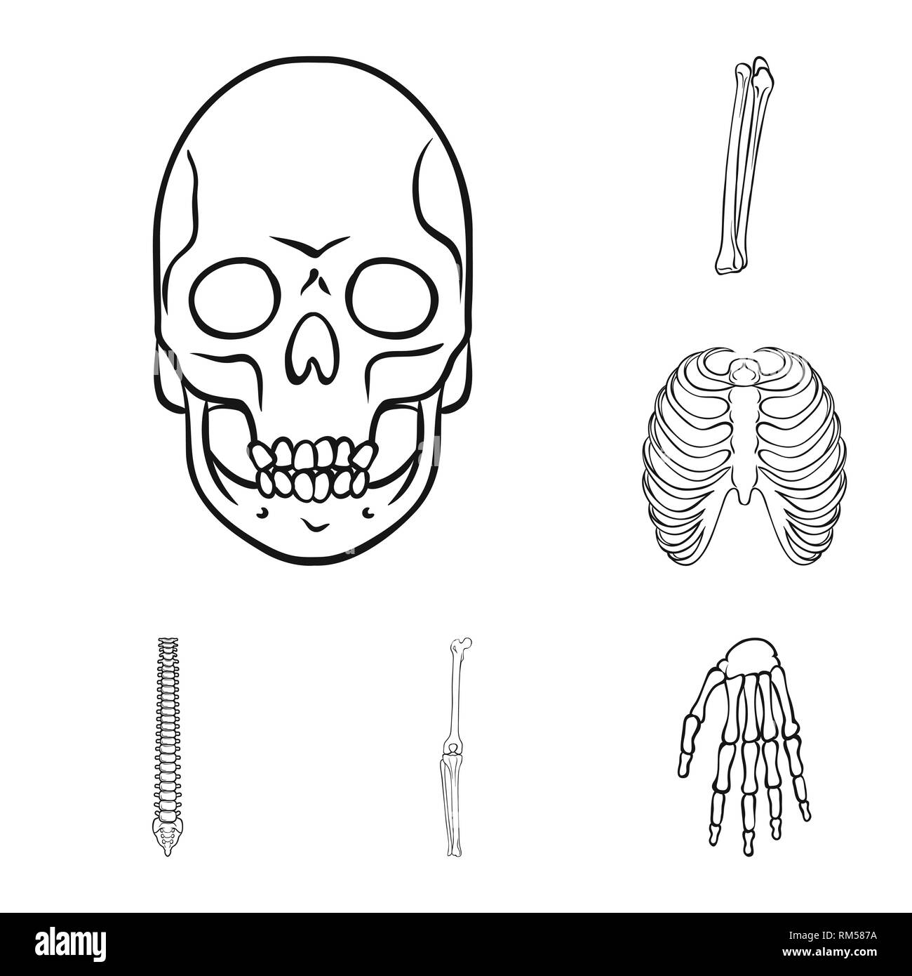 Crâne,fémur,nervure, genou,dos,poignet,la mort,la chiropratique,cage,joints,d,horreur,body,ostéoporose,foot,tatouage,bras,tibia,jambe,posture,carpe,head,péroné,sternum,santé,chirurgie,eye,linstallation,sternum,médecine, biologie médicale,clinique,os,squelette,anatomie,des,organes,,set,icône,,illustration,collection,isolé,design,graphisme,élément signe,ligne,plan,vecteurs vecteur , Illustration de Vecteur