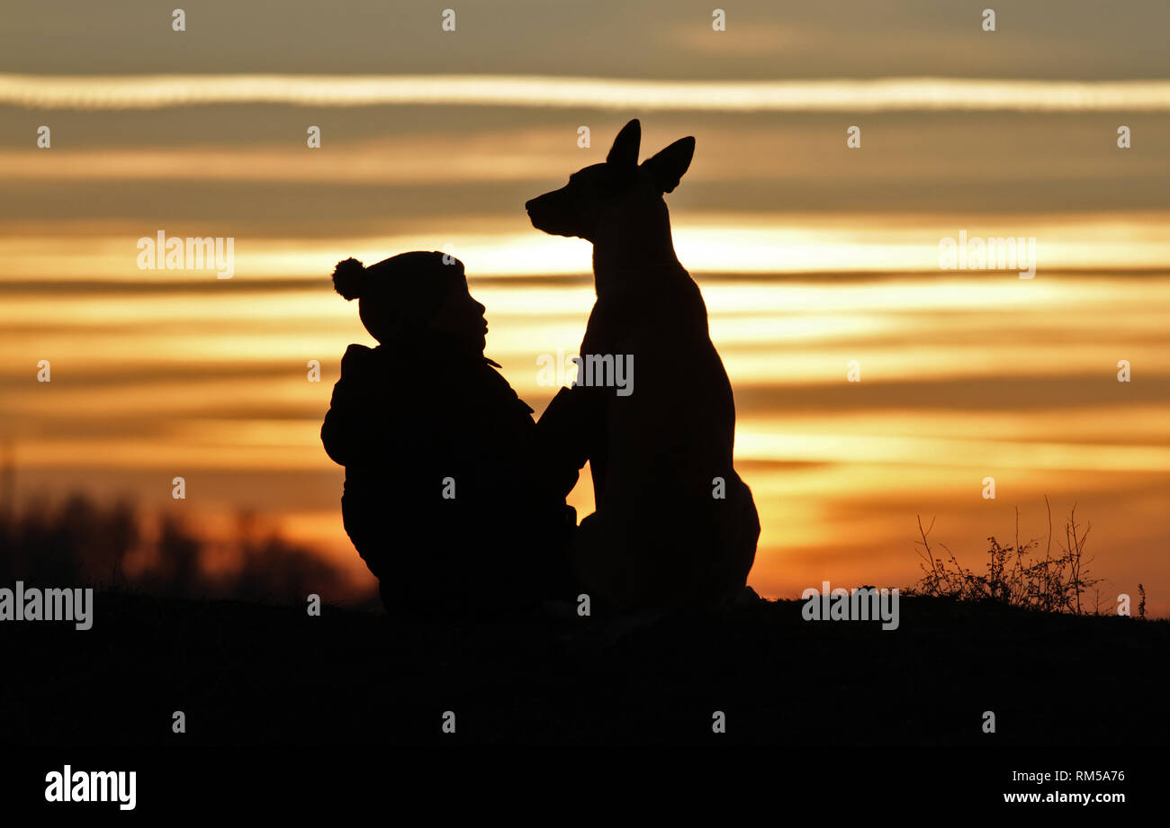 Toucher une photo d'un petit garçon et un chien de la race Berger Belge Malinois sur l'arrière-plan d'un beau coucher du soleil Banque D'Images