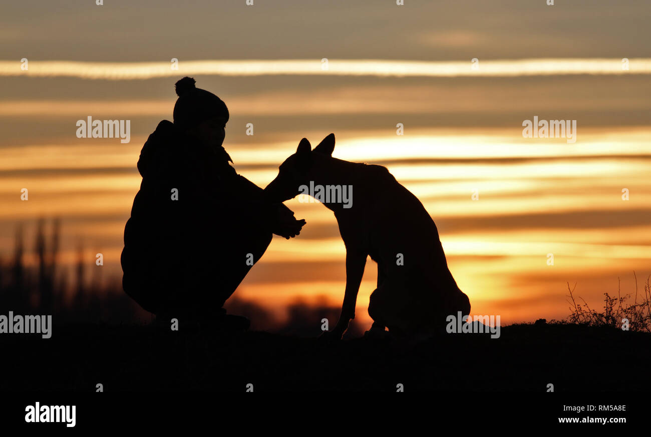 Toucher Une Photo Dun Petit Garçon Et Un Chien De La Race