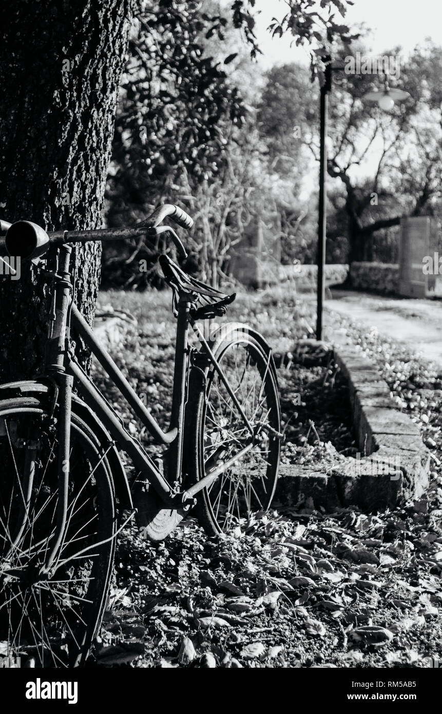 Velo vintage rue online du ruisseau