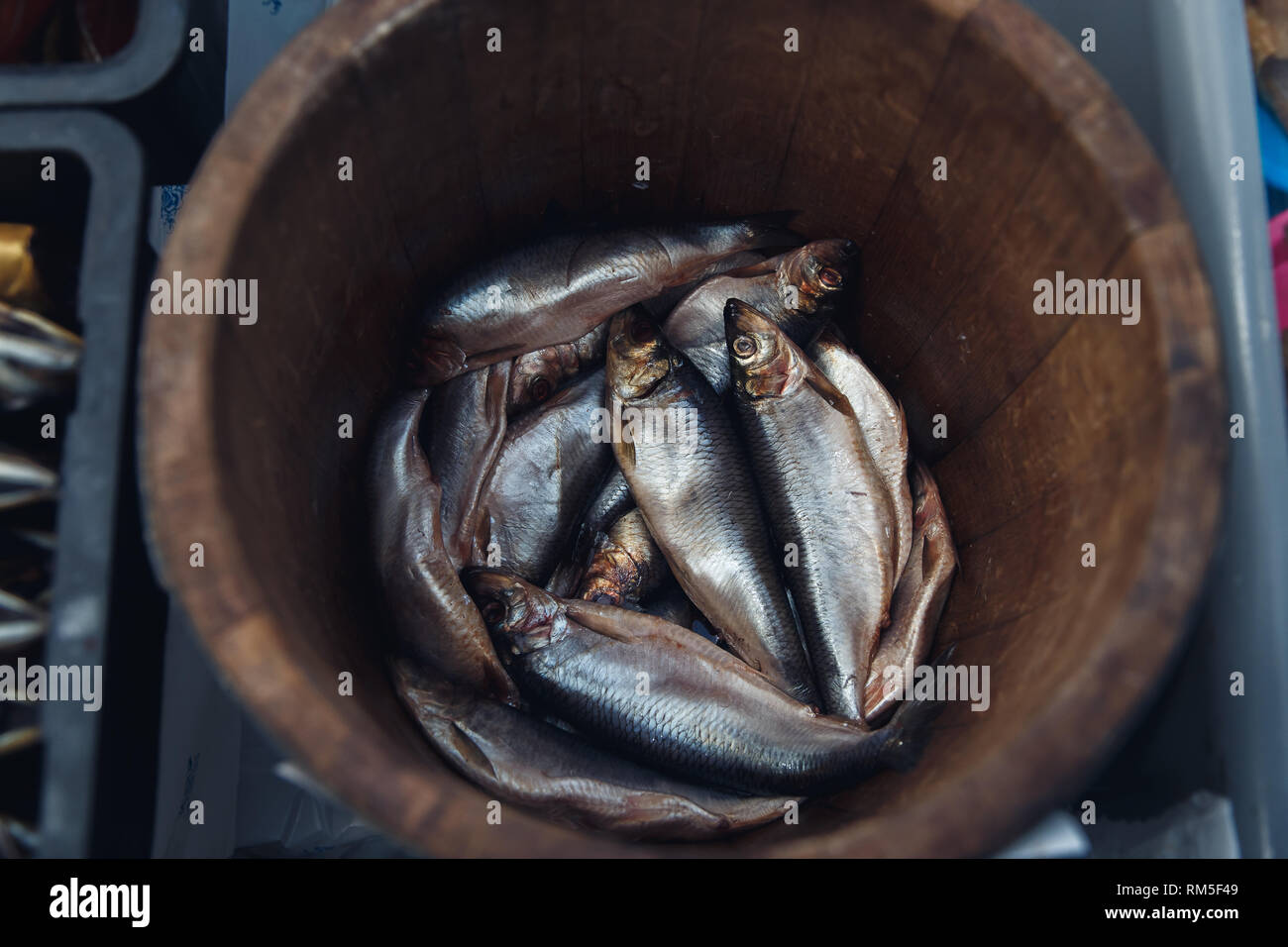 Hareng dans un tonneau en bois - poisson de mer. Banque D'Images