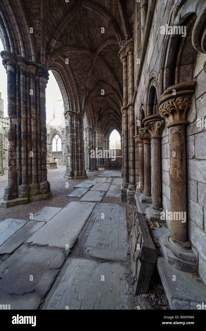 L'Abbaye de Holyrood en ruine au palais de Holyroodhouse à Edimbourg, Ecosse, Royaume-Uni Banque D'Images
