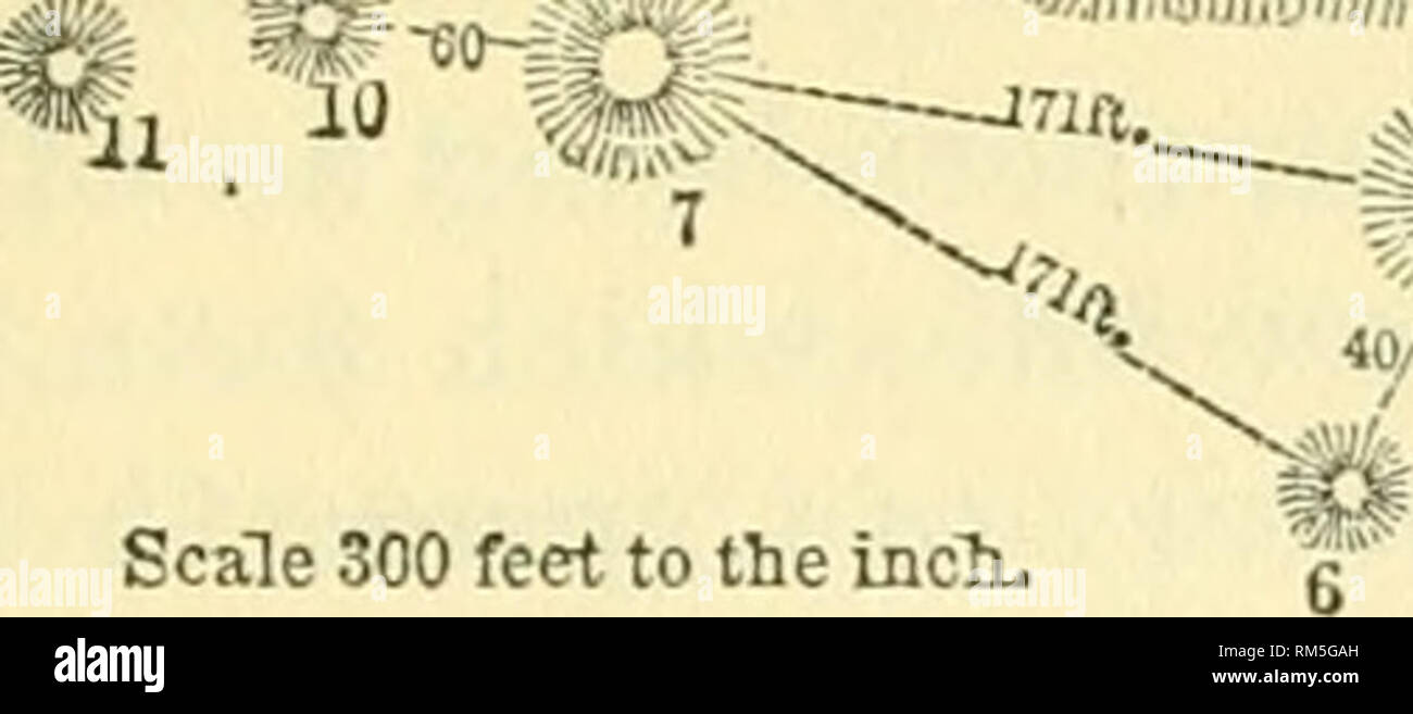 . Rapport annuel du Conseil d'administration de la Smithsonian Institution. Smithsonian Institution, Smithsonian Institution. Archives ; découvertes de la science. L'échelle de 300 pieds à 100 inclusion ". Ce groupe se compose de trois sous-groupes. La direction est plus coruj osed est)de deux monticules. ] O^. 1 est de 80 pieds de diamètre et 10 pieds Ligh ; n° 2 est de 40 pieds de diamètre et 4 pieds de haut. Le milieu sous-groupe se compose de quatre pieds* distantfrom 171 monticules nos 1 et 2 ; nos 4, 5 et 6 sont respectivement 45, 45 et 40 pieds loin de JSTo. 3, qui est d'aller pieds de diamètre et 8 pieds de haut ; nos 4, 5 et 6 sont 33 Banque D'Images