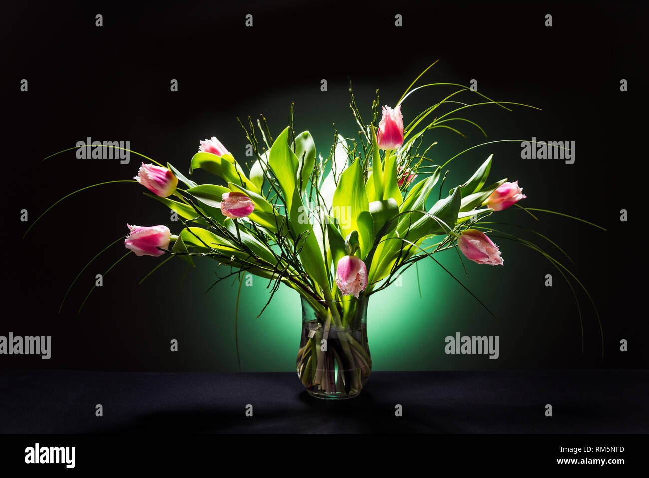 Fleurs dans un vase tulipe rouge sur fond noir Banque D'Images