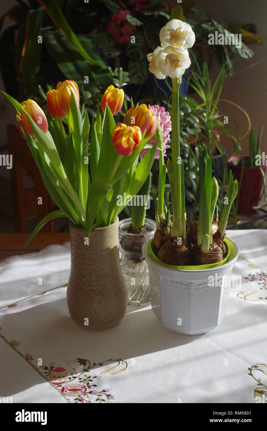 Frühlingsblumen in einem Arrangement zu Ostern Banque D'Images