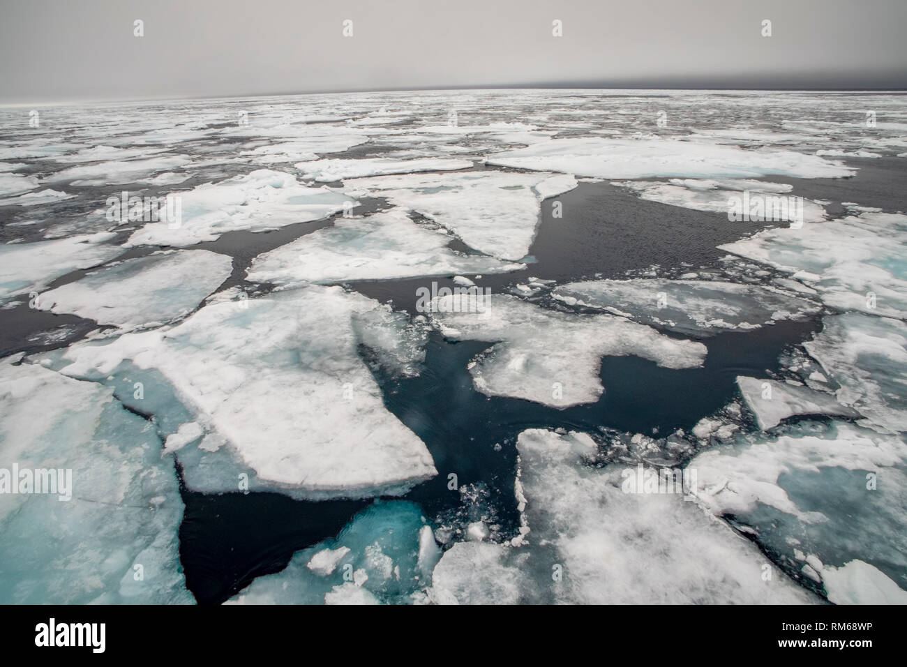 Mer arctique banquise. Photographié à Spitsbergen, Svalbard, Norvège Banque D'Images