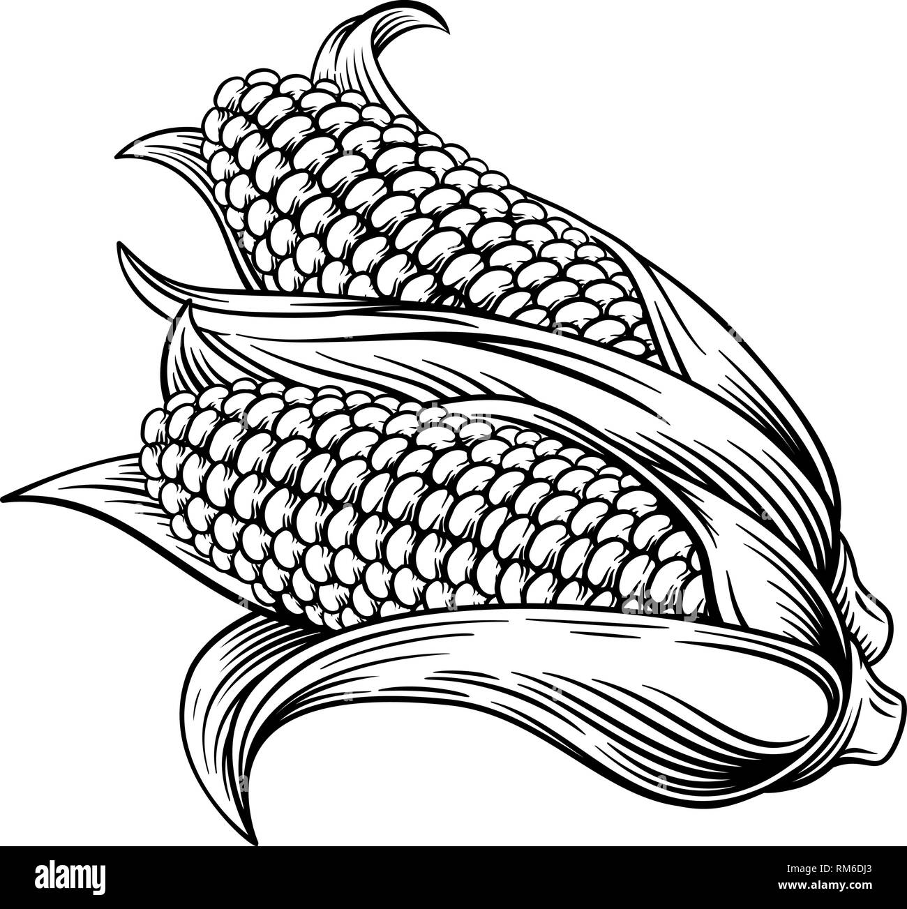 Maïs doux Maïs Oreilles Gravure Gravure sur bois Illustration Illustration de Vecteur