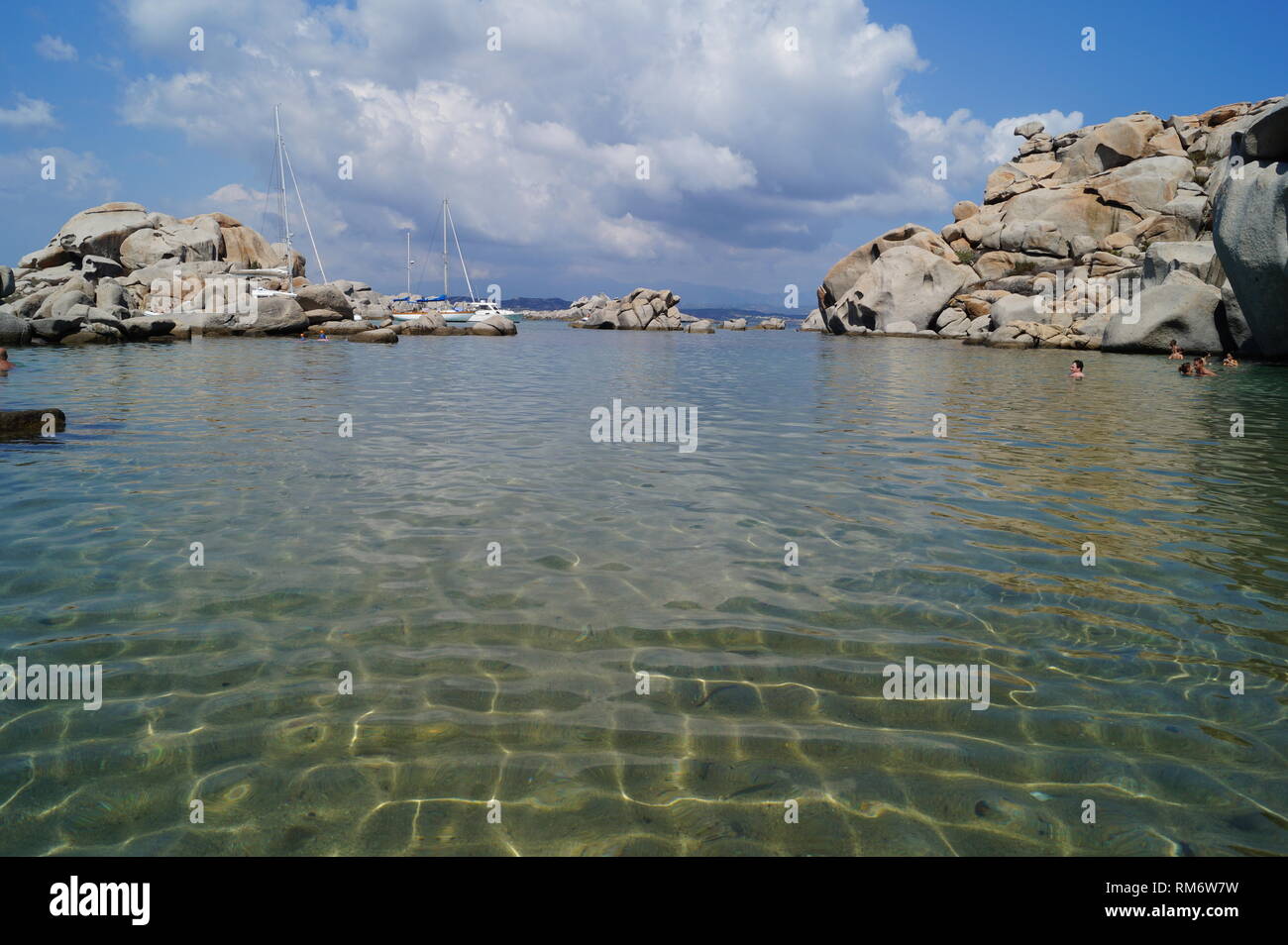 Poissons nager dans l'archipel des Lavezzi sur l'île de Corse Banque D'Images