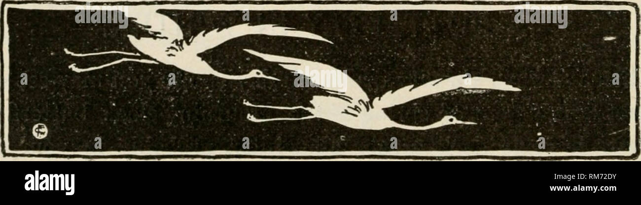 . Rapport annuel de la poste de l'expérience agricole. L'Université de Cornell. Poste de l'expérience agricole, Agriculture -- New York (État). dispose d'un manteau violet foncé witli un frontière de couleur crème. Le bois- cutter est plus susceptible de le voir parce qu'il se nourrit de la sève des arbres qui ont été coupés. Les scientifiques appellent cela Euvanessa (ou Vanessa antiopa). Mars. LUCY LARCOM. Mars ! IMarch ! Mars ! Ils viennent dans des troupes à l'ordre du vent : les pics à tête rouge de tambours, de Goki-crested grives derrière ; les moineaux dans brown vestes hopping passé chaque passerelle et porte, Finclies avec crimso Banque D'Images