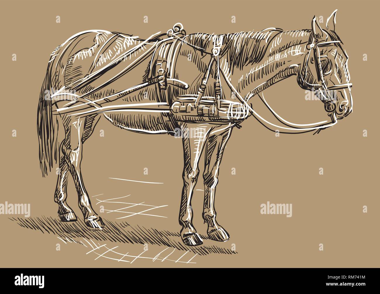 Vector Illustration dessin à la main, de profil. Dessin vectoriel monochrome illustration croquis en noir et blanc isolé sur b Illustration de Vecteur