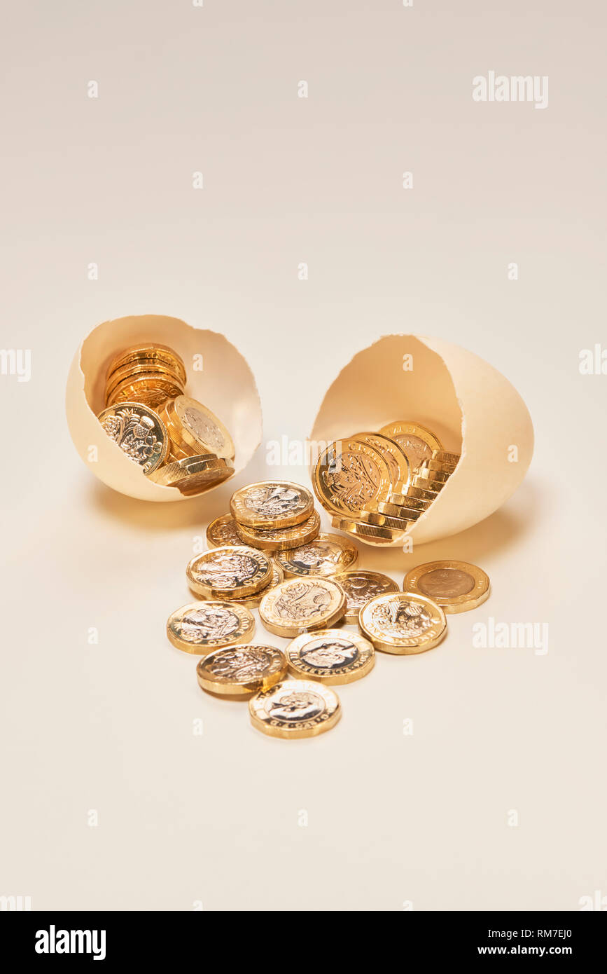 Nest Egg avec pièces livre Shinny Banque D'Images