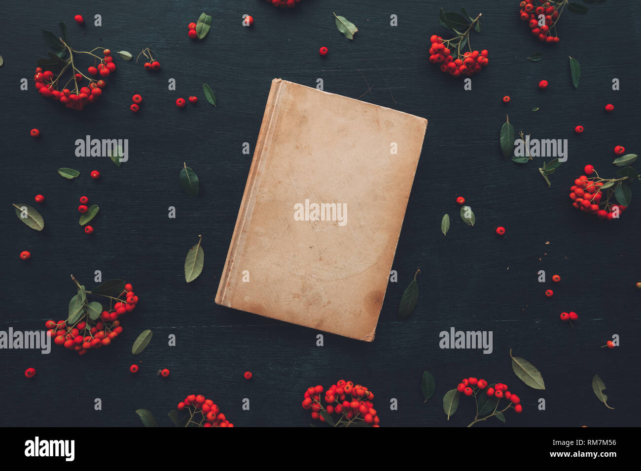 Mise à plat vintage livre relié, vue supérieure avec de petits fruits sauvages arrangement decoarative Banque D'Images