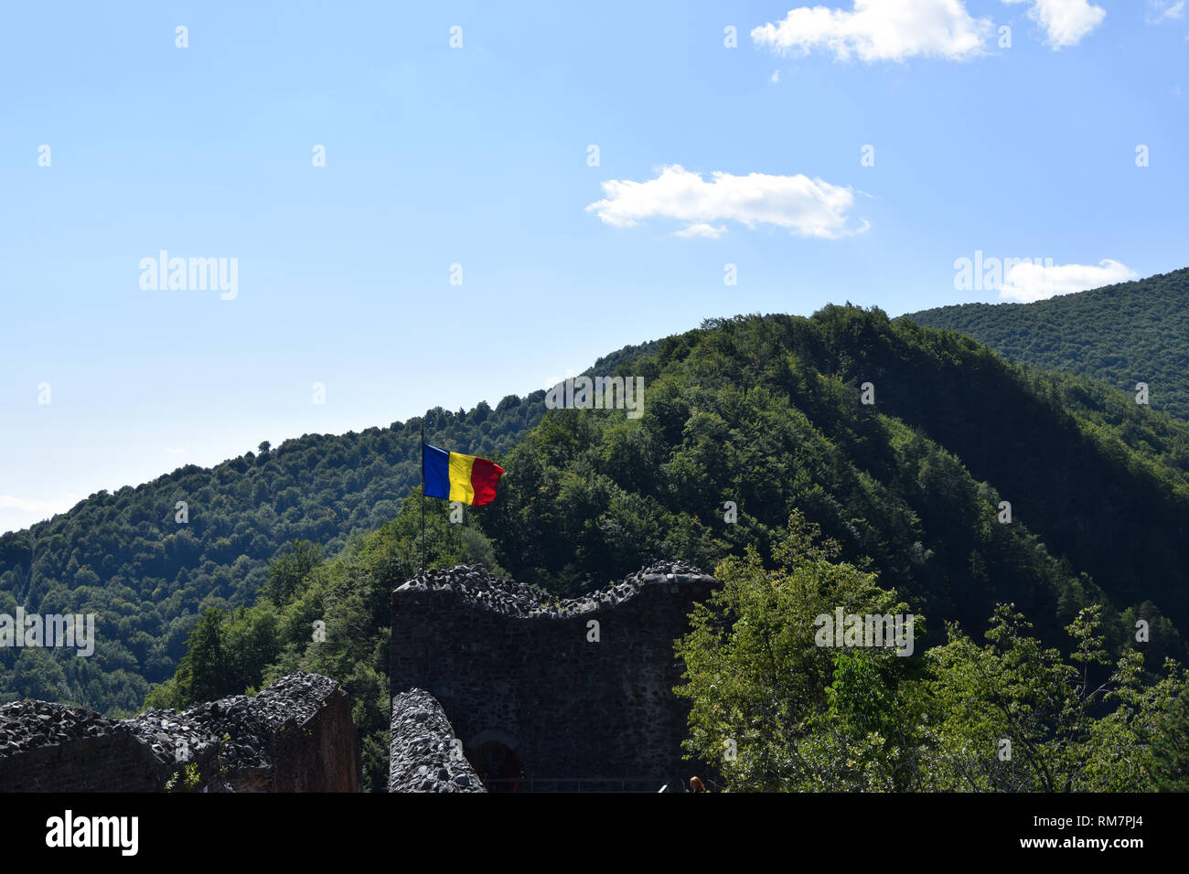 Brandir le drapeau roumain dans le vent à la ruine de château Poenari. Roumanie drapeau national. Banque D'Images