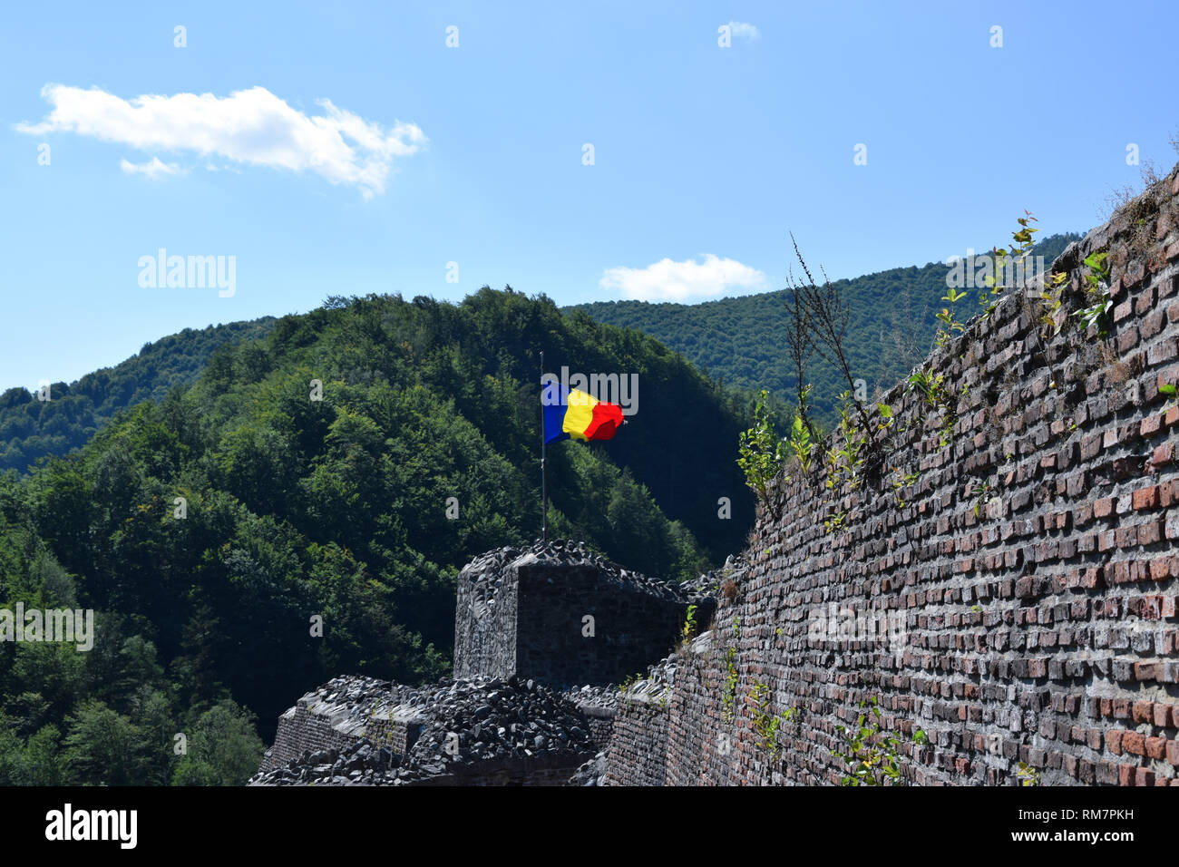 Brandir le drapeau roumain dans le vent à la ruine de château Poenari. Roumanie drapeau national. Banque D'Images
