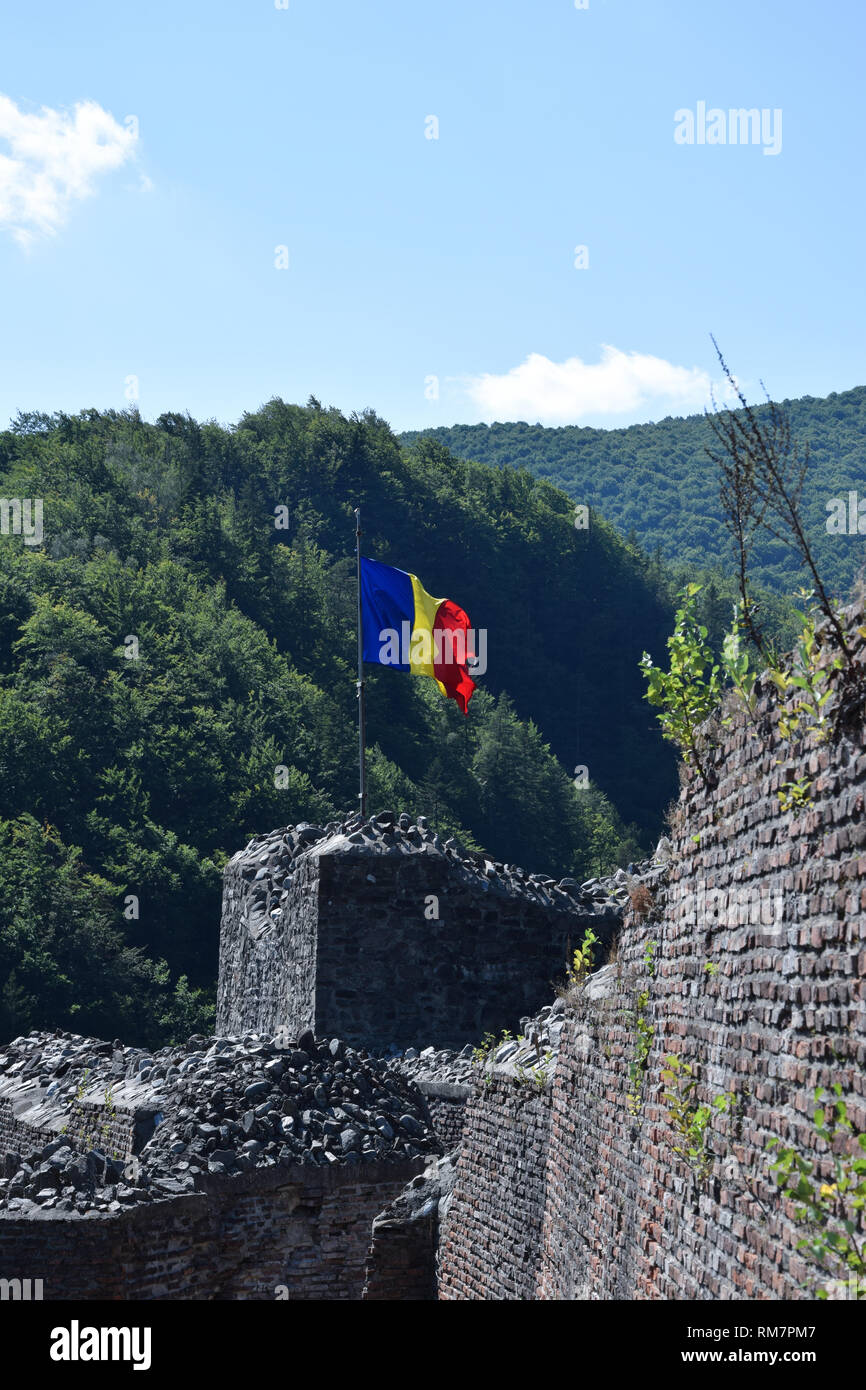 Brandir le drapeau roumain dans le vent à la ruine de château Poenari. Roumanie drapeau national. Banque D'Images